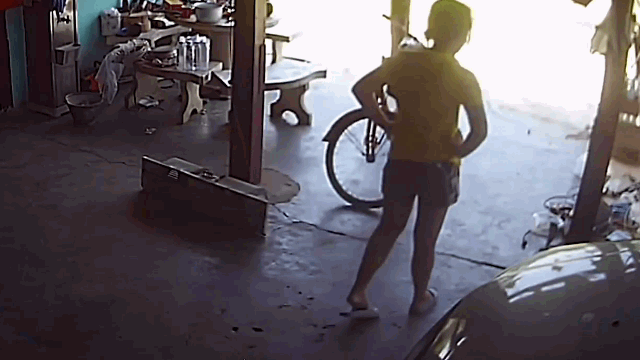 Video: Bị rắn hổ mang phun nọc tấn công, người phụ nữ hoảng sợ