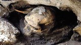 Khai quật công cụ bằng đá, phát hiện sốc về tổ tiên loài người 