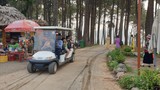 Công ty Phượng Hoàng dùng xe điện “chui” tại KDL Phoenix Mộc Châu