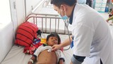 Gia Lai: Hai trẻ ngộ độc do ăn thịt cóc, một bé tử vong