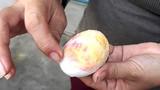 Xôn xao vì xuất hiện trứng vịt luộc màu hồng, cứng như đá 