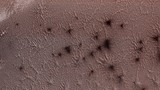 Sửng sốt hình ảnh như "quái thú" lông lá trên sao Hỏa