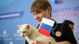 Xem “mèo tiên tri” dự đoán Nga thắng trận mở màn World Cup 2018