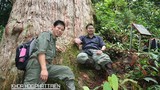 ThS. Phạm Văn Thế: Nhà khoa học trẻ cho 3 loài cây "mượn tên" 