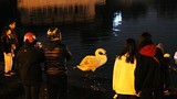 Giữa đêm lạnh, người dân vẫn kéo nhau ra hồ Thiền Quang ngắm thiên nga