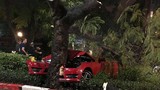 Xe Mercedes bị "chẻ đôi đầu" vì mất lái đâm vào gốc cây