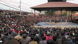 Hàng nghìn người đội mưa rét xem đấu vật tại Hà Nội