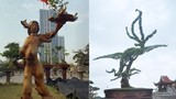 Ngỡ ngàng cây cảnh quái thế đắt tiền ở Việt Nam
