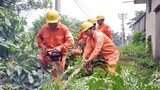 EVN HANOI với công tác đảm bảo an toàn điện mùa bão