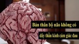 8 sự thật thú vị ít ai biết về não bộ