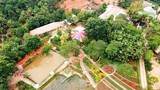 Phú Thọ yêu cầu dỡ công trình "Khu sinh thái vui chơi Thu Cúc Garden"