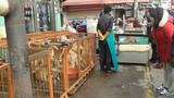 Bên trong chợ thịt chó lớn nhất Hàn Quốc vừa đóng cửa