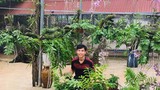 Mãn nhãn vườn lan "khủng" trị giá tiền tỷ của các 9X Việt
