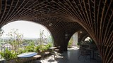 Giành giải kiến trúc quốc tế, quán cà phê ở Vinh có gì đặc biệt?