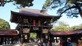 Chùm ảnh: Meiji Jingu - ngôi đền thiêng giữa thủ đô Tokyo 