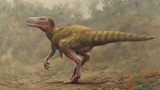 Những dấu chân khủng long hoá thạch hé lộ bí ẩn cuộc sống cổ đại