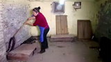 Video: Cận cảnh “nữ hoàng rắn hổ mang” chăm sóc 1.000 con rắn mỗi ngày  
