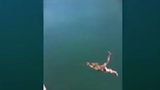 Video: Cô gái mặc bikini lộn nhào xuống nước từ độ cao 12m