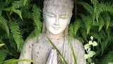 7 cách thay đổi số phận theo lời Phật dạy