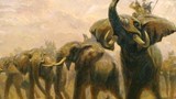 Cách tuyển voi oai hùng trong sử Việt thời chúa Nguyễn