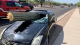 Video: Tài xế may mắn thoát chết sau khi 'xương rồng khổng lồ' đâm xuyên ôtô