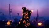 Video: Hình ảnh tang thương về cháy rừng ở Amazon