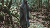 Video: Đầu lâu, dây treo cổ ngổn ngang trong rừng tự sát ở Nhật Bản