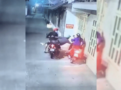 Video: Trộm táo tợn cướp xe, điện thoại giữa phố gây phẫn nộ