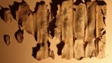 Lời nguyền trên cuộn giấy thời La Mã