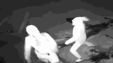 Video: Rủ nhau đi ăn trộm, thanh niên bị đồng bọn ném gạch trúng đầu
