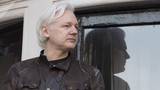 Mỹ sẽ đưa nhà sáng lập WiliLeaks "ra trước công lý"