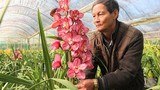 Hoa xuất xứ Trung Quốc gắn mác hoa Tết Đà Lạt