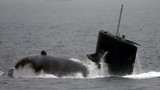 Mỹ - Nhật liên thủ, quyết chặn đứng lực lượng tàu ngầm Trung Quốc