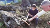 Nhặt khúc gỗ xấu xí vứt ngoài vườn, 5 năm sau mới biết là kho báu hơn 60 tỷ
