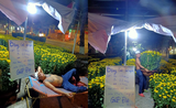 "Ông chủ sạp rau" Minh Râu bán hoa Tết, netizen ủng hộ hết lời