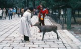 Ghé thăm những địa điểm đặc biệt ở Nhật Bản năm 1980 