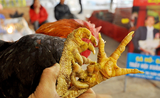 Loài gà chín cựa trong truyền thuyết, đại gia Việt ráo riết săn lùng 