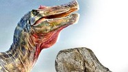 Chi tiết động vật ăn thịt lớn nhất châu Âu: Khủng long mặt cá sấu 