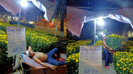 "Ông chủ sạp rau" Minh Râu bán hoa Tết, netizen ủng hộ hết lời