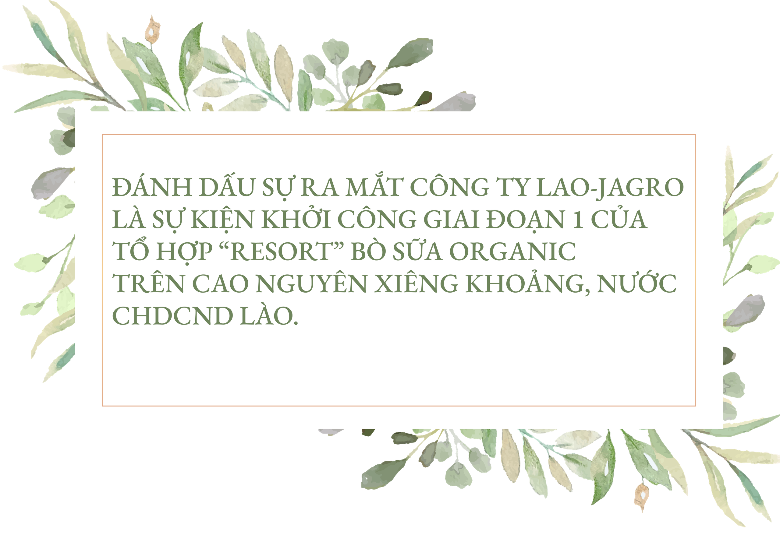 Dau tu 120 trieu USD - Vinamilk hop tac xay dung to hop “resort” bo sua Organic tai Lao-Hinh-2