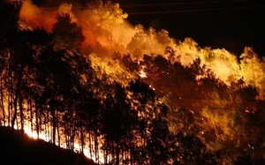 Cháy rừng Hà Tĩnh bùng phát trong đêm, hàng trăm người ứng cứu