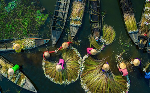 Video: Việt Nam góp mặt trong top ảnh du lịch ấn tượng 2021