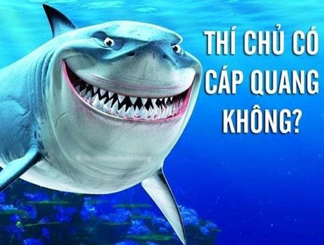 Ảnh chế cá mập cắn đứt cáp quang làm dân mạng cười bò