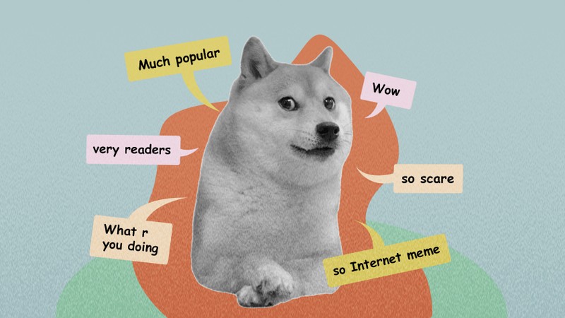 Meme Doge trên tiền mã hóa nổi tiếng ra sao?