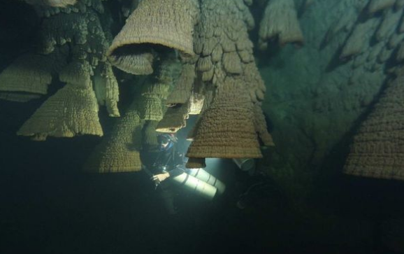 Khám phá hang động chứa đầy chuông tử thần ở Mexico