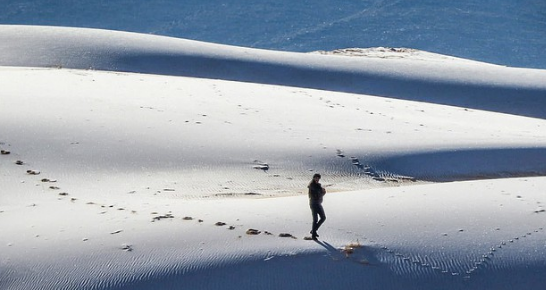 Bộ ảnh tuyết phủ sa mạc Sahara đẹp như mơ
