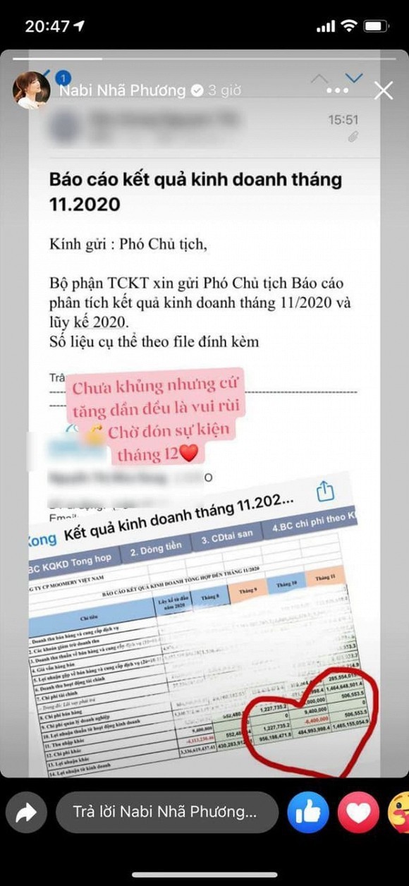 Lo anh Nha Phuong la Pho Chu tich cong ty doanh thu 1,5 ty/ thang-Hinh-3
