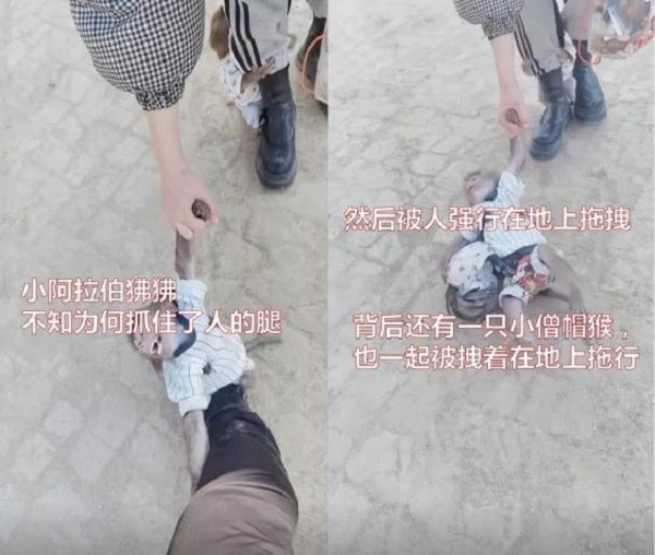 Trung Quoc: Cong vien gay phan no khi bat khi hut thuoc-Hinh-2