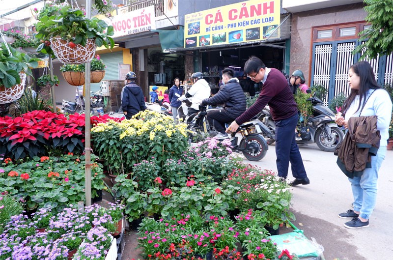 Anh: Tap nap cho hoa Tet Van Phuc-Hinh-4