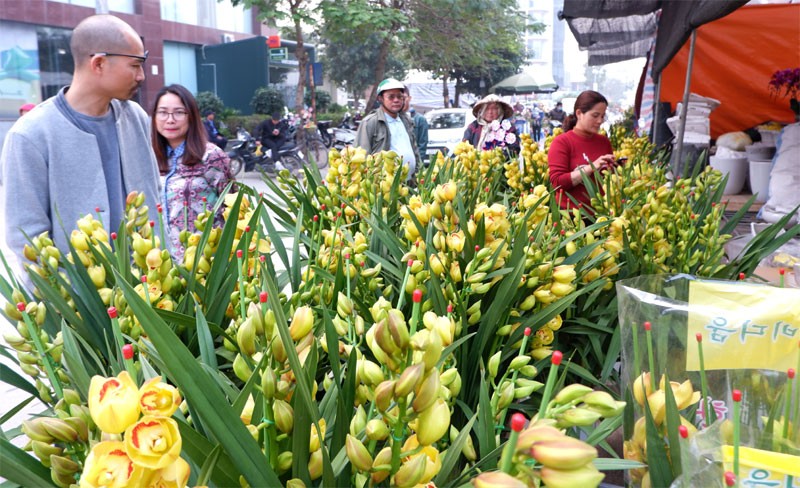 Anh: Tap nap cho hoa Tet Van Phuc-Hinh-7